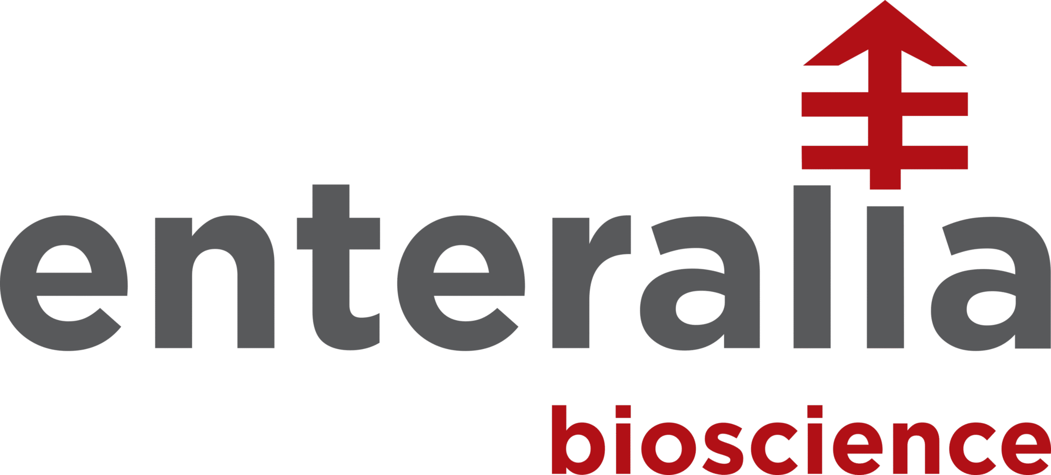 TwinSystems Logo